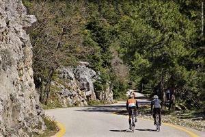 cavallari palace hotel