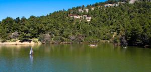 cavallari palace hotel