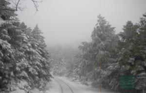 cavallari palace hotel