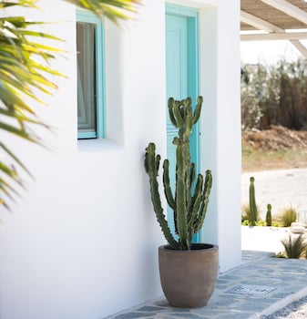 naxos