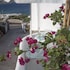 mykonos moussa suites