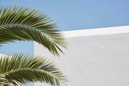 mrs armelina by mrandmrs white hotels