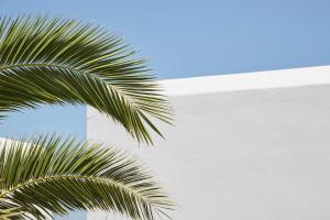 mrs armelina by mrandmrs white hotels