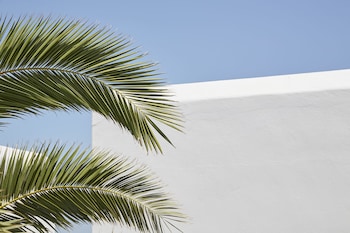 mrs armelina by mrandmrs white hotels