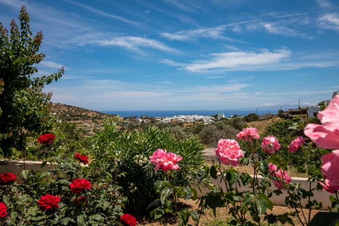 eutuxia rooms and studios