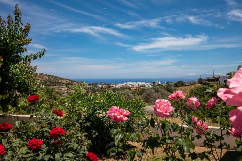 eutuxia rooms and studios