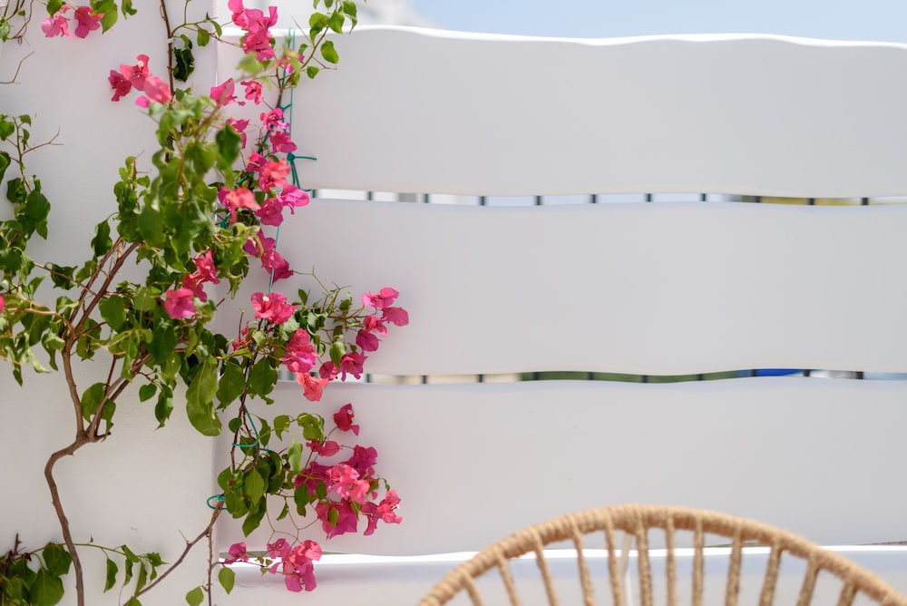 sea dream luxury home