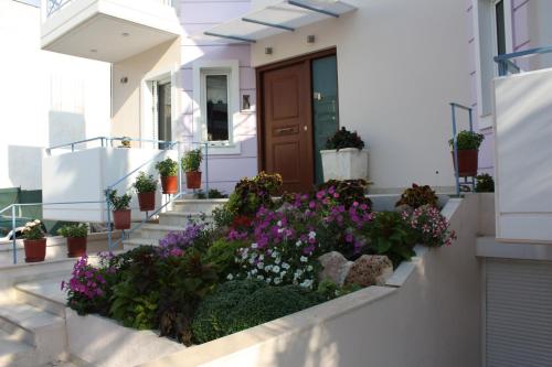 veggie garden athens bandb