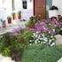 veggie garden athens bandb