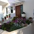 veggie garden athens bandb