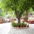 veggie garden athens bandb