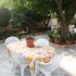 veggie garden athens bandb