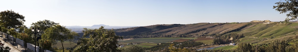 los olivos