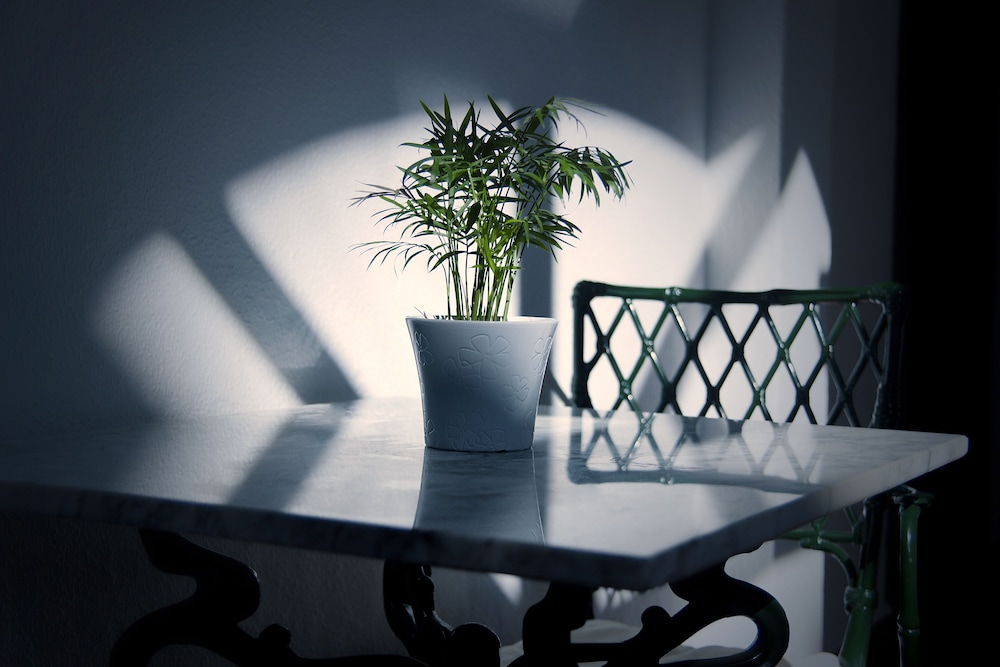 arcos de la frontera