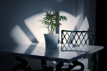 arcos de la frontera