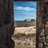 lemnos