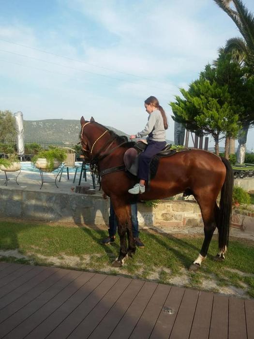 ariadnes holiday accommodation