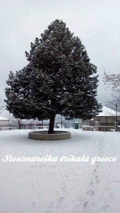 arxontiko tou krommyda