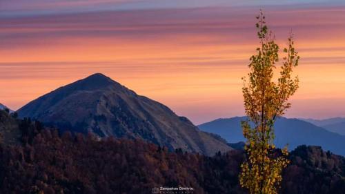 arxontiko tou krommyda