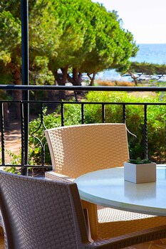 pylos nestoras