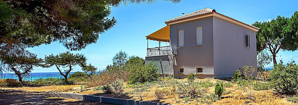 pylos nestoras