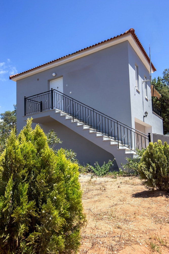 pylos nestoras