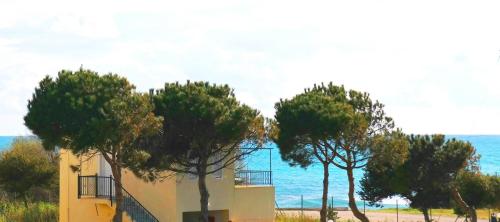 pylos nestoras