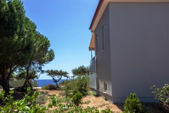 pylos nestoras