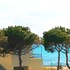 pylos nestoras