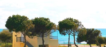 pylos nestoras