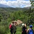 aravanes