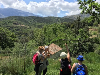 aravanes