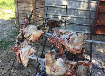 aravanes
