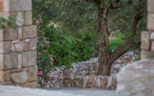 georgias houses melitzanakia