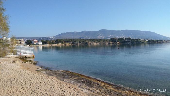 markopoulo mesogaias