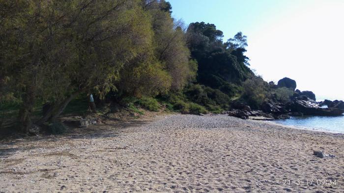 markopoulo mesogaias