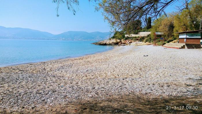 markopoulo mesogaias