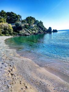 markopoulo mesogaias