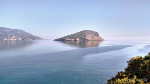 markopoulo mesogaias