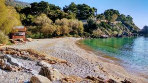 markopoulo mesogaias