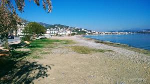 markopoulo mesogaias