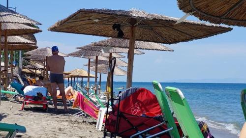 star beach resort