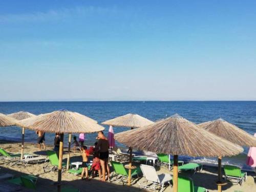 star beach resort