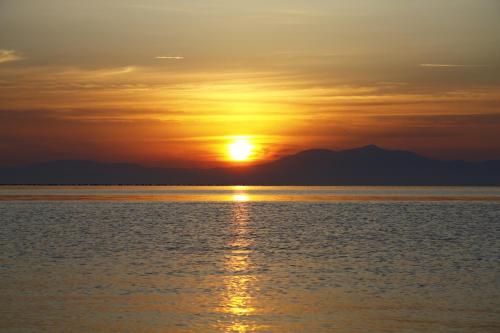 star beach resort