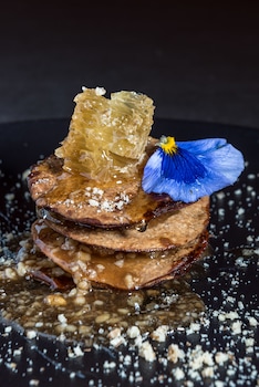 euphoria retreat a holistic wellbeing destination spa