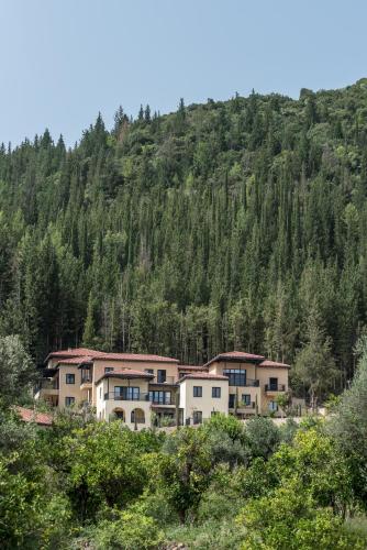 euphoria retreat a holistic wellbeing destination spa