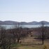 lake plastiras