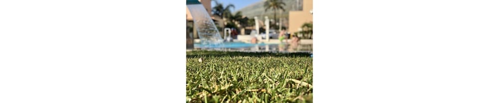 hotel oasi