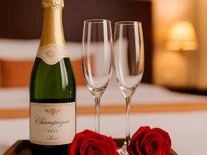 petit palace apart hotel suites