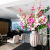 petit palace apart hotel suites